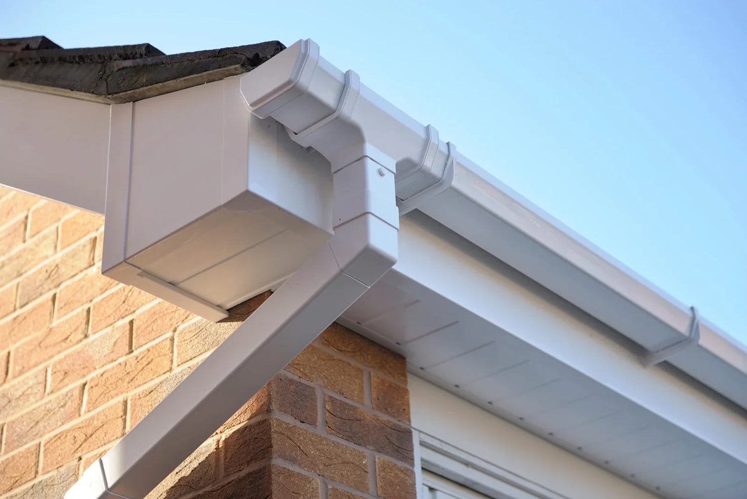Gutter and Downpipe